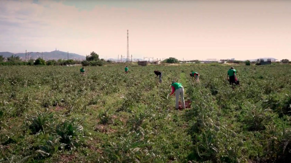 VALOR SOCIAL CIUTAT COOPERATIVA